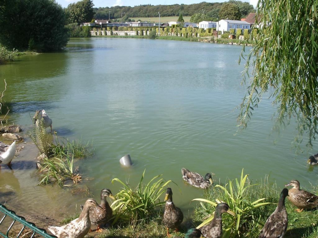 Auberge Des Etangs Roussent Kültér fotó